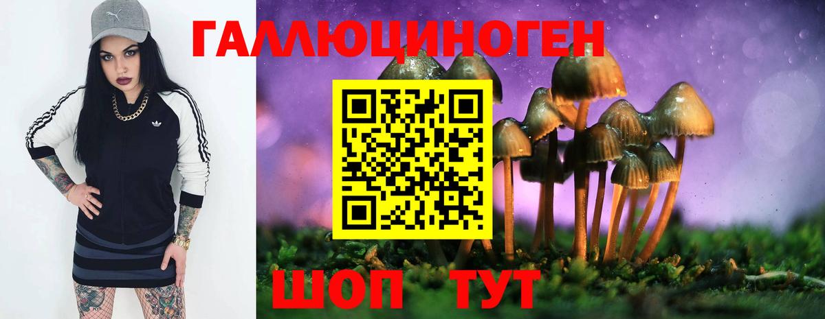 Галлюциногенные грибы Psilocybe  Галлюциногенные грибы мицелий  Истра  Вход с VPN 